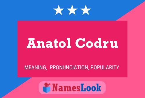 Постер имени Anatol Codru