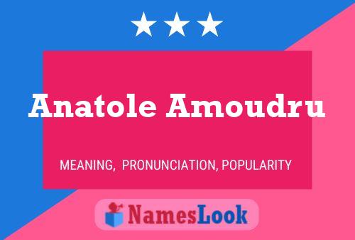 Постер имени Anatole Amoudru