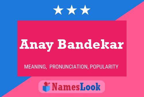 Постер имени Anay Bandekar