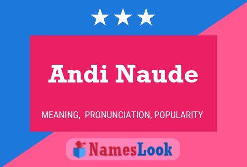 Постер имени Andi Naude