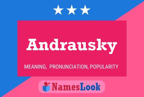 Постер имени Andrausky