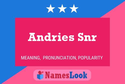 Постер имени Andries Snr