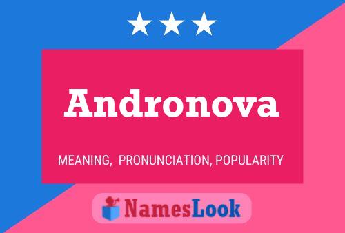 Постер имени Andronova