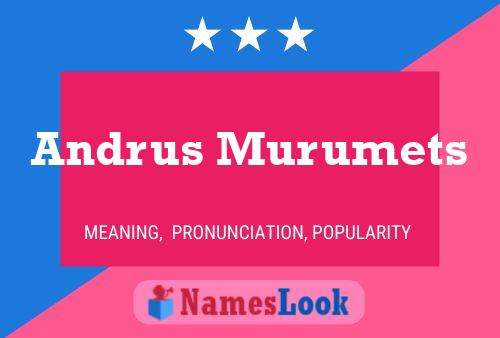 Постер имени Andrus Murumets