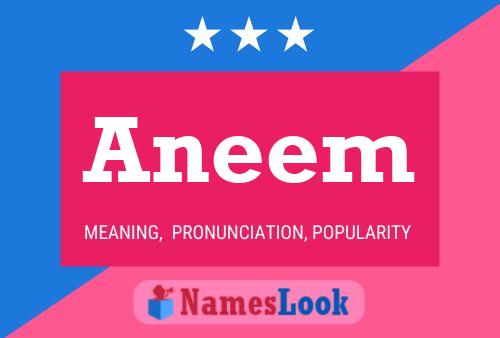 Постер имени Aneem