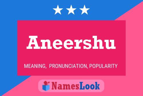 Постер имени Aneershu