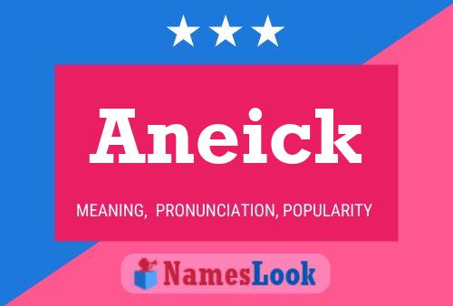 Постер имени Aneick