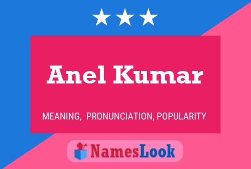 Постер имени Anel Kumar