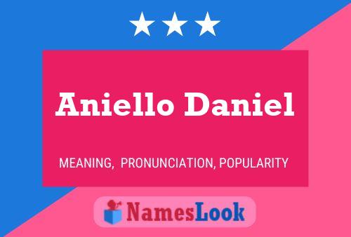 Постер имени Aniello Daniel