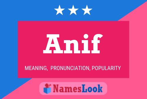 Постер имени Anif