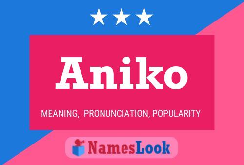 Постер имени Aniko