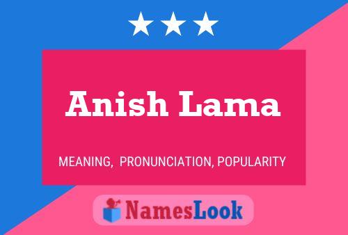 Постер имени Anish Lama