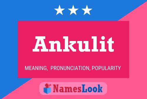 Постер имени Ankulit