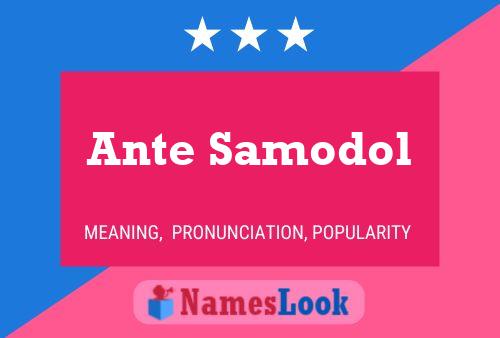 Постер имени Ante Samodol