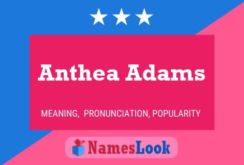 Постер имени Anthea Adams