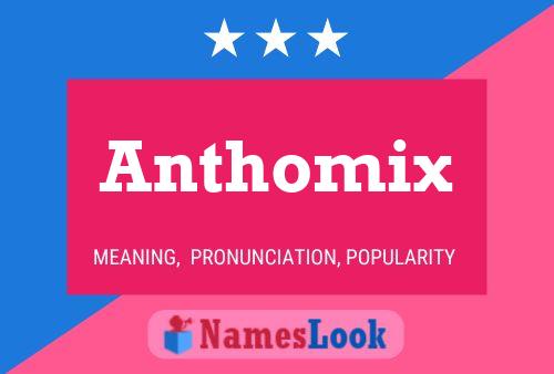 Постер имени Anthomix