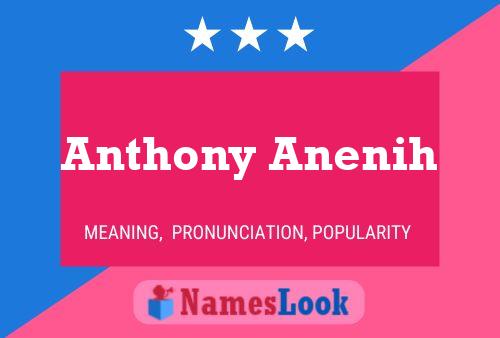 Постер имени Anthony Anenih