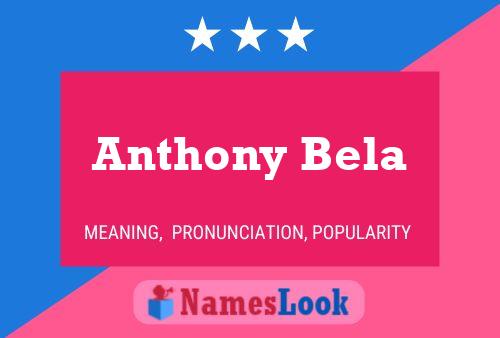 Постер имени Anthony Bela