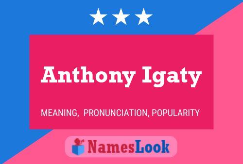 Постер имени Anthony Igaty