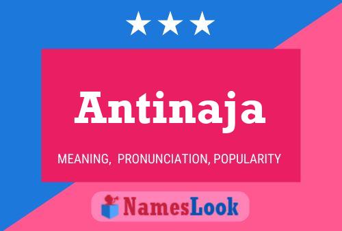 Постер имени Antinaja