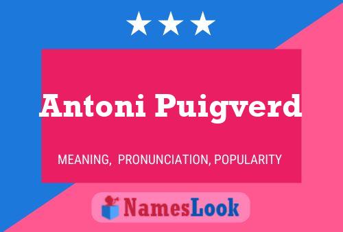 Постер имени Antoni Puigverd