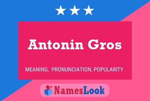 Постер имени Antonin Gros