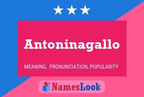 Постер имени Antoninagallo