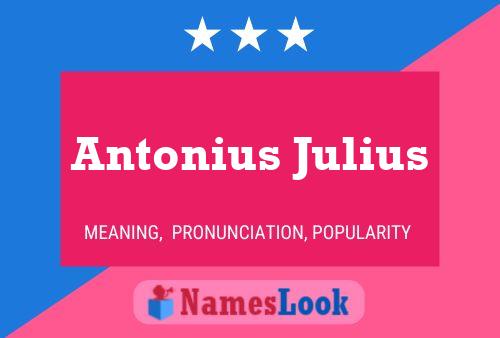 Постер имени Antonius Julius