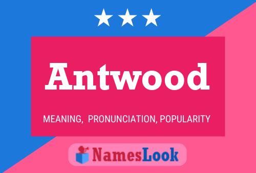 Постер имени Antwood