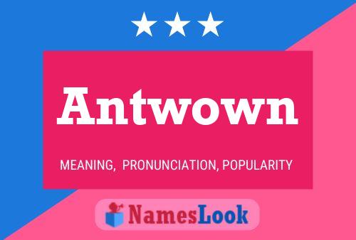 Постер имени Antwown