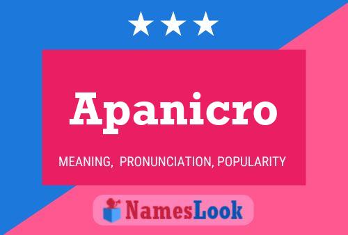 Постер имени Apanicro