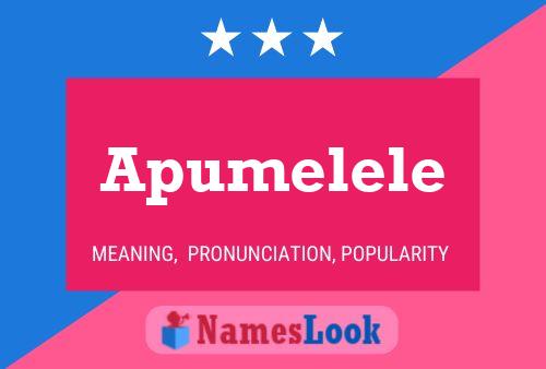 Постер имени Apumelele