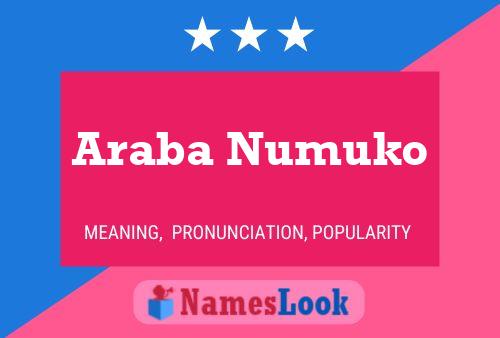 Постер имени Araba Numuko