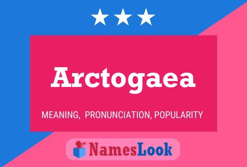 Постер имени Arctogaea