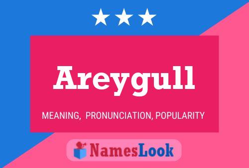 Постер имени Areygull