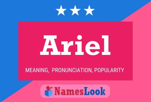 Постер имени Ariel