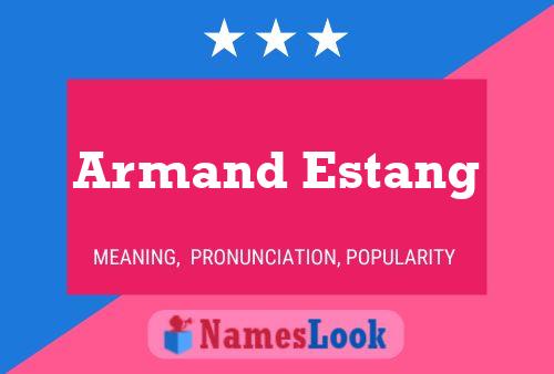 Постер имени Armand Estang