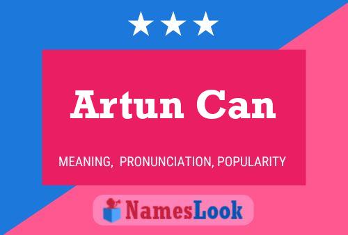 Постер имени Artun Can