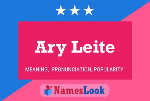 Постер имени Ary Leite