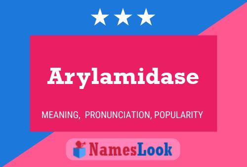 Постер имени Arylamidase