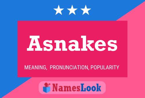 Постер имени Asnakes