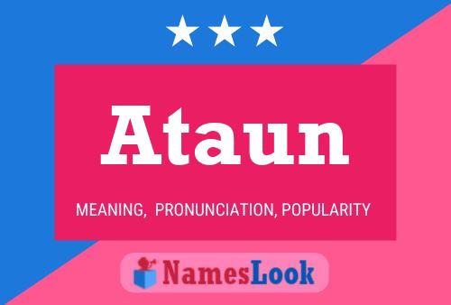 Постер имени Ataun