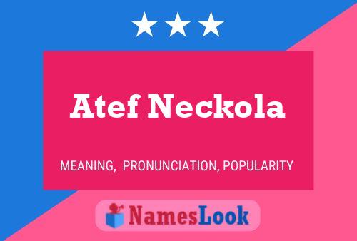 Постер имени Atef Neckola