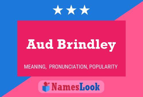 Постер имени Aud Brindley