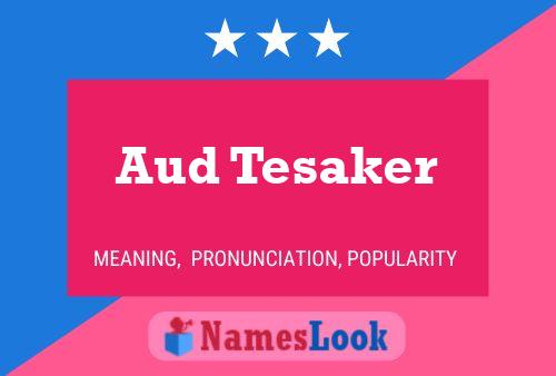 Постер имени Aud Tesaker