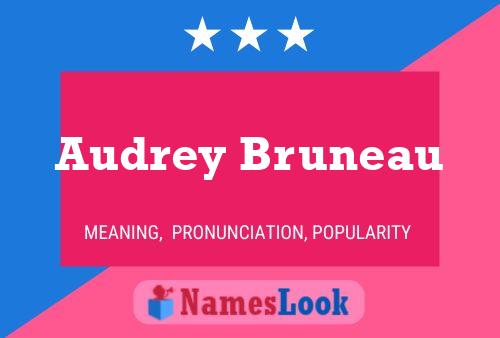 Постер имени Audrey Bruneau