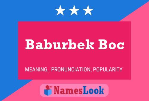 Постер имени Baburbek Boc