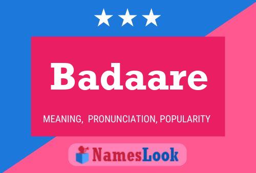 Постер имени Badaare