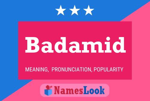 Постер имени Badamid