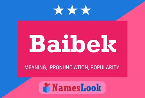 Постер имени Baibek